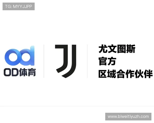 OD体育国际版为用户提供多渠道多语言支持,满足全球体育迷的多样化需求